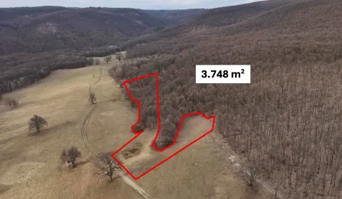 Sale Agrarian and forest land, Veľký Krtíš, Slovakia