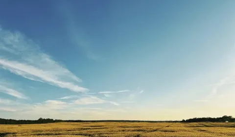 Sale Agrarian and forest land, Pezinok, Slovakia