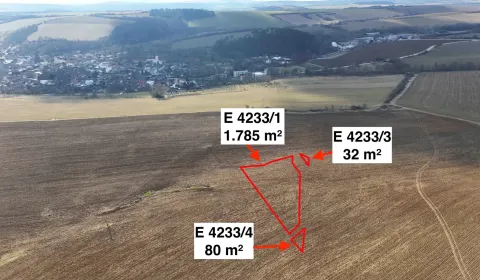 Sale Agrarian and forest land, Nové Mesto nad Váhom, Slovakia