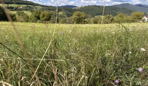 Sale Agrarian and forest land, Banská Bystrica, Slovakia