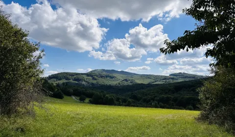 Sale Agrarian and forest land, Medzilaborce, Slovakia