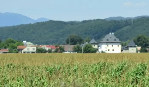 Sale Agrarian and forest land, Banská Bystrica, Slovakia