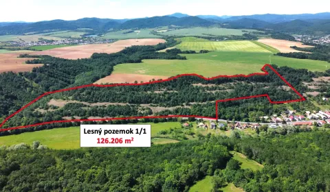 Sale Agrarian and forest land, Krupina, Slovakia