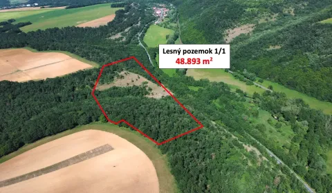 Sale Agrarian and forest land, Krupina, Slovakia