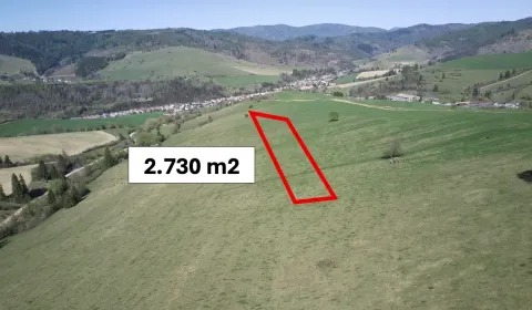 Sale Agrarian and forest land, Brezno, Slovakia
