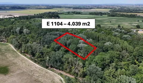 Sale Agrarian and forest land, Dunajská Streda, Slovakia