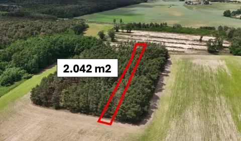 Sale Agrarian and forest land, Malacky, Slovakia