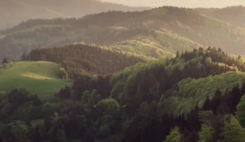 Sale Agrarian and forest land, Sobrance, Slovakia