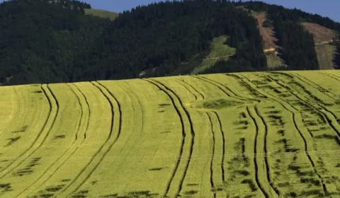 Sale Agrarian and forest land, Žilina, Slovakia