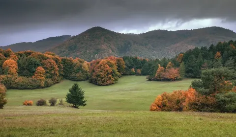 Sale Agrarian and forest land, Púchov, Slovakia