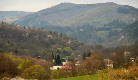 Sale Agrarian and forest land, Detva, Slovakia