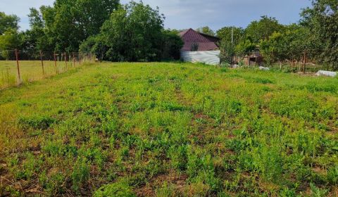 Sale Land – for living, Land – for living, Michalovce, Slovakia