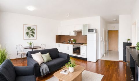 Rent One bedroom apartment, One bedroom apartment, Vlárska, Bratislava