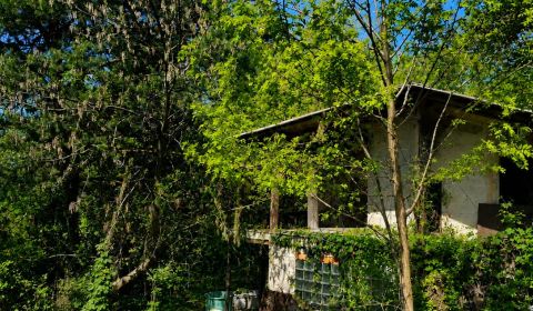 Sale Gardens, Gardens, Šípková, Košice - Krásna, Slovakia