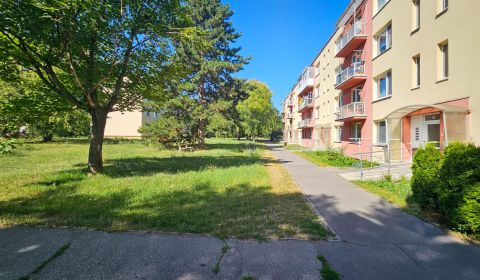 Sale One bedroom apartment, One bedroom apartment, Hviezdoslavova, Sen