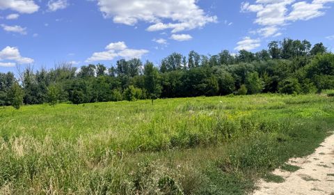 Sale Agrarian and forest land, Agrarian and forest land, Senec, Slovak