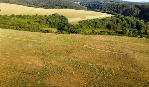 Sale Agrarian and forest land, Agrarian and forest land, Piešťany, Slo