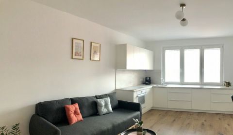 Rent One bedroom apartment, One bedroom apartment, Bratislava - Nové M
