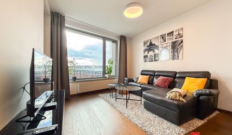 Rent One bedroom apartment, Bratislava - Staré Mesto, Slovakia