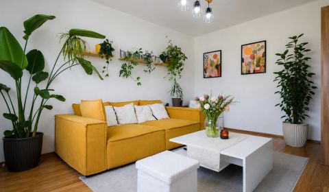Rent One bedroom apartment, One bedroom apartment, Trnava, Slovakia