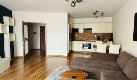 Rent One bedroom apartment, One bedroom apartment, Botanická, Trnava, 
