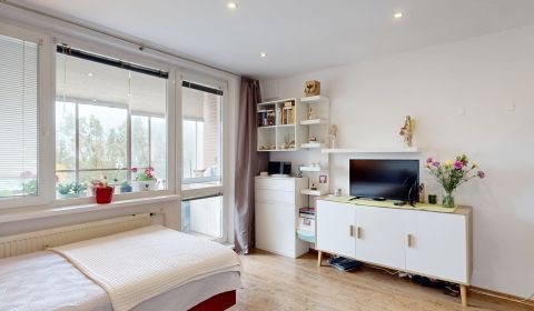Fully renovated 1-bedroom apartment, prime location, Nám. Hraničiarov