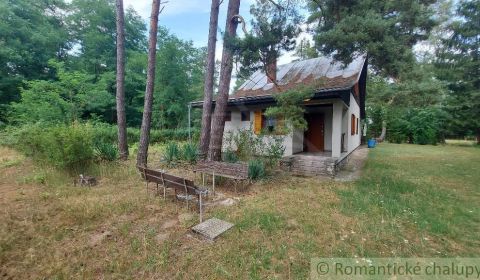 Sale Cottage, Cottage, Senica, Slovakia
