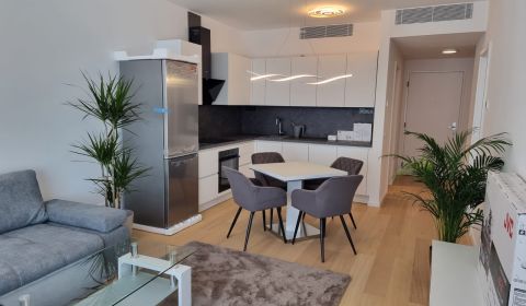 Rent One bedroom apartment, One bedroom apartment, Továrenská, Bratisl