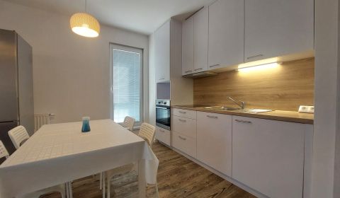 Rent One bedroom apartment, One bedroom apartment, Halalovka, Trenčín,