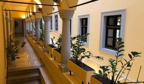 Offices - centre of Bartislava - for rent