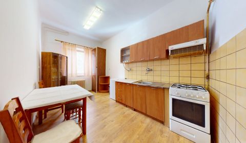 Rent Studio, Studio, Dlhé Hony, Trenčín, Slovakia