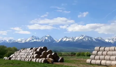 Sale Agrarian and forest land, Poprad, Slovakia