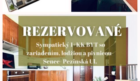 Sale Studio, Studio, Pezinská, Senec, Slovakia