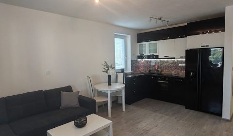 Rent One bedroom apartment, One bedroom apartment, Potravinárska, Nitr