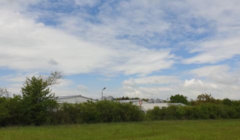 Sale Agrarian and forest land, Agrarian and forest land, Pezinok, Slov