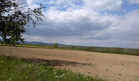 Searching for Land plots - commercial, Land plots - commercial, Pezino