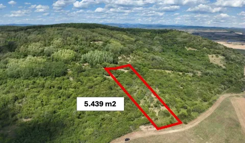 Sale Agrarian and forest land, Revúca, Slovakia
