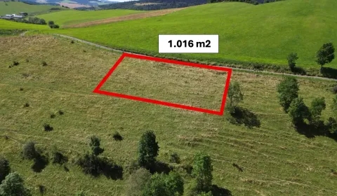 Sale Special estates, Stará Ľubovňa, Slovakia