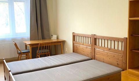 Rent One bedroom apartment, One bedroom apartment, P. O. Hviezdoslava,