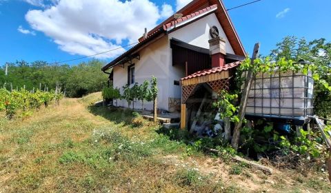 Sale Cottage, Cottage, Nové Zámky, Slovakia