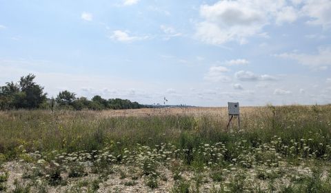 Sale Land – for living, Land – for living, Šípkova ulica, Nitra, Slova