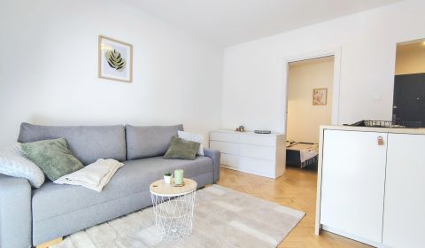 Sale One bedroom apartment, One bedroom apartment, Československých pa