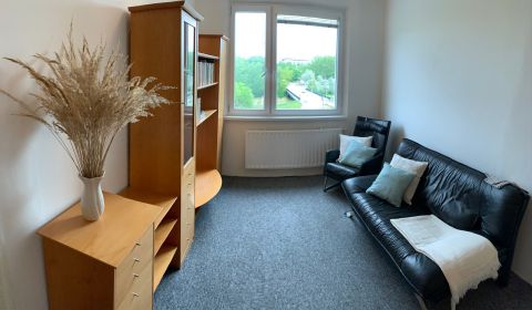 Rent Two bedroom apartment, Two bedroom apartment, Krásnohorská, Brati