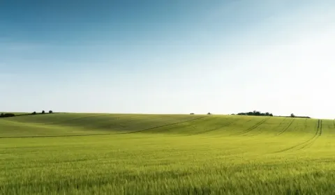 Sale Agrarian and forest land, Prešov, Slovakia