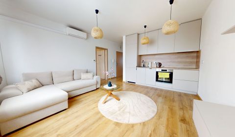 Rent One bedroom apartment, One bedroom apartment, Mesačná, Dunajská S