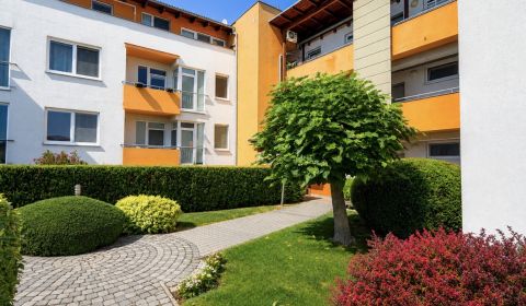 Sale Studio, Studio, Čerešňová, Senec, Slovakia