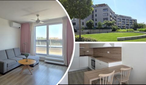 Rent One bedroom apartment, One bedroom apartment, Malokrasňanská, Bra