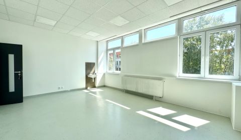 Rent Commercial premises, Commercial premises, Krušovská, Topoľčany, S