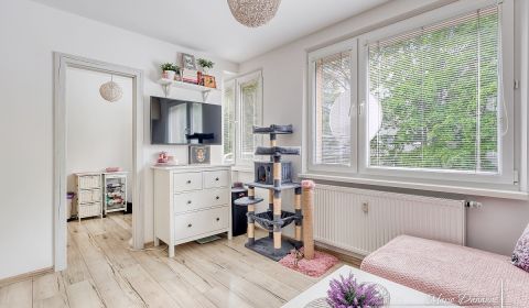 Sale Studio, Studio, Čajkovského, Trnava, Slovakia