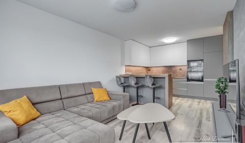 Rent One bedroom apartment, One bedroom apartment, Novomestská, Trnava